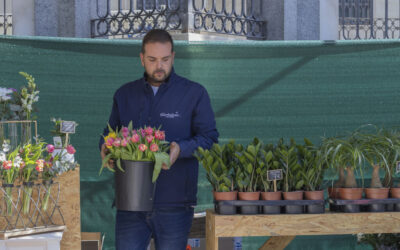 Mercado de Flores y Plantas – Abril 23
